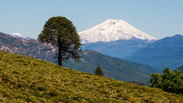 Chile Recibe el Premio al Mejor Destino para Visitar en 2024